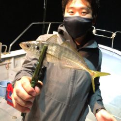 ＴＡＲＯＭＡＲＵ 釣果