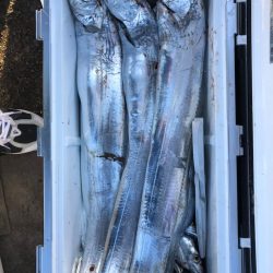 フィッシング　キッタカ 釣果