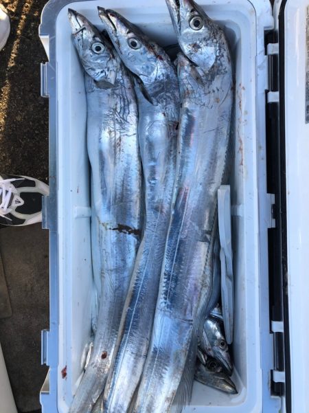 フィッシング　キッタカ 釣果