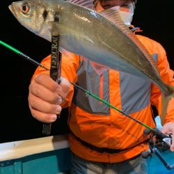 愛海丸 釣果