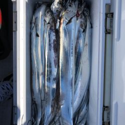 フィッシング　キッタカ 釣果