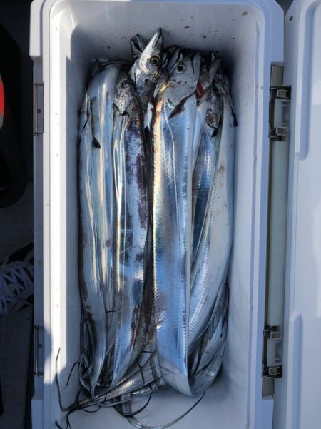 フィッシング　キッタカ 釣果