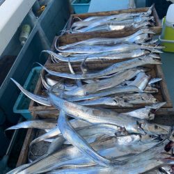 岡田釣船 八英丸 釣果