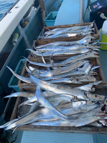 岡田釣船　八英丸 釣果