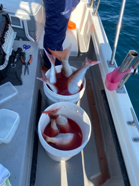 遊漁船ブルーウッズ 釣果