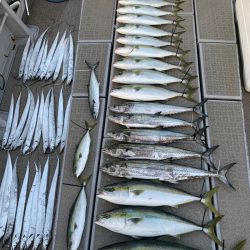 SeaRide(シーライド) 釣果