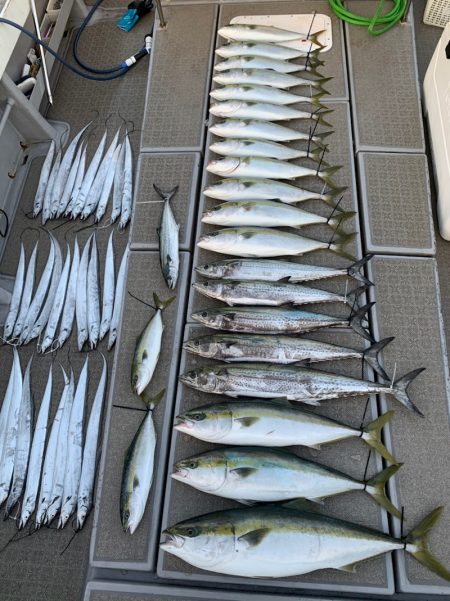 SeaRide(シーライド) 釣果