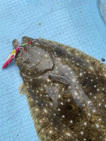 あみや渡船 JIGBOY 釣果