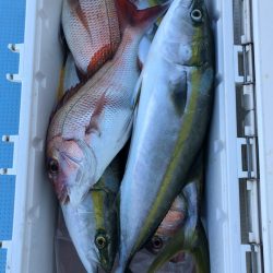 第二八坂丸 釣果