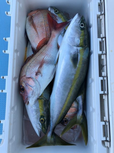 第二八坂丸 釣果