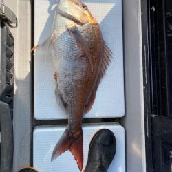 遊漁船ブルーウッズ 釣果