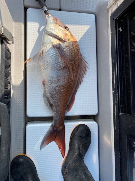 遊漁船ブルーウッズ 釣果