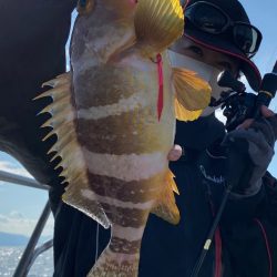 あみや渡船 JIGBOY 釣果