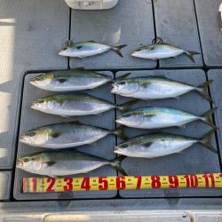 遊漁船高橋 釣果