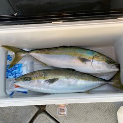 遊漁船高橋 釣果