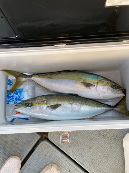 遊漁船高橋 釣果