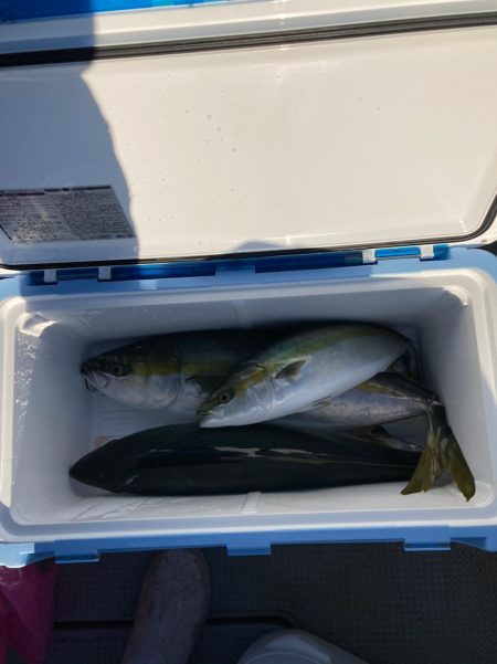 遊漁船高橋 釣果
