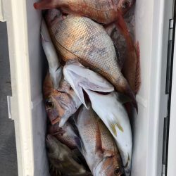 フィッシング キッタカ 釣果