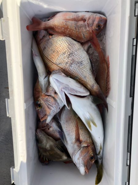 フィッシング キッタカ 釣果