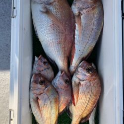 フィッシング キッタカ 釣果