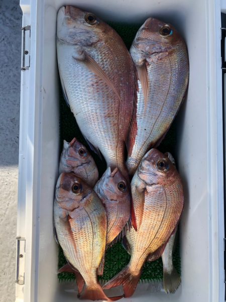 フィッシング キッタカ 釣果