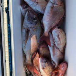 フィッシング キッタカ 釣果