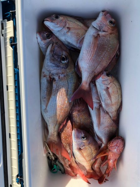 フィッシング キッタカ 釣果