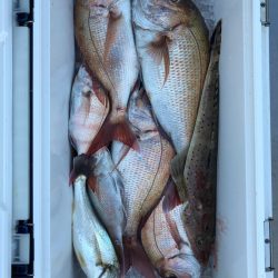 フィッシング キッタカ 釣果