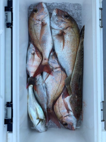 フィッシング キッタカ 釣果