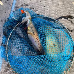 龍神丸（鹿児島） 釣果