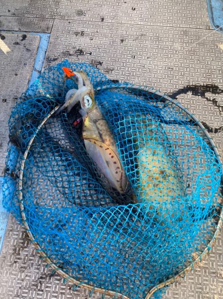 龍神丸（鹿児島） 釣果