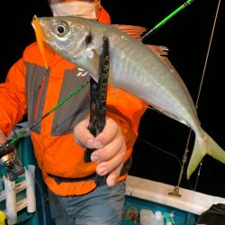 愛海丸 釣果