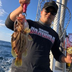 ＴＡＲＯＭＡＲＵ 釣果