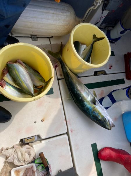 Ｖ−７ West 釣果