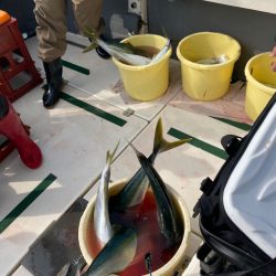 Ｖ−７ West 釣果