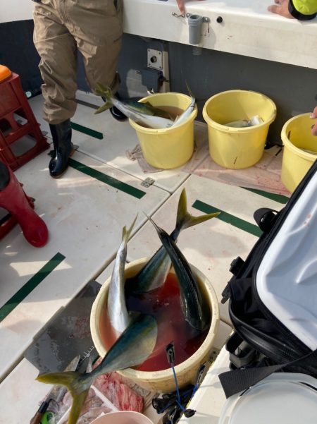 Ｖ−７ West 釣果