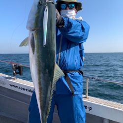 SeaRide(シーライド) 釣果