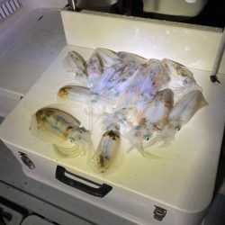 Monster Rush! 釣果