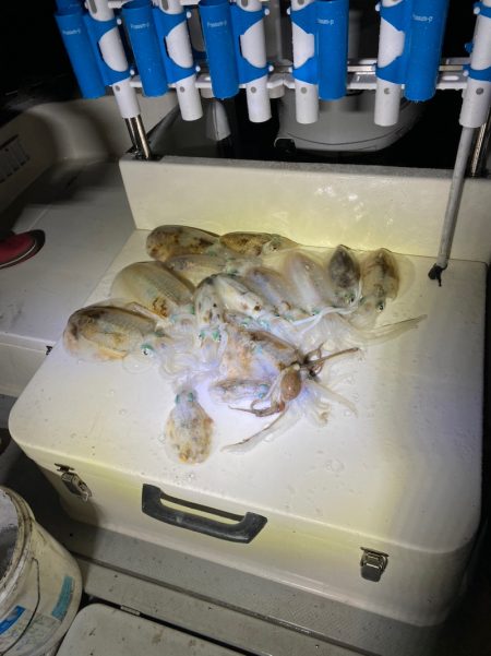 Monster Rush! 釣果