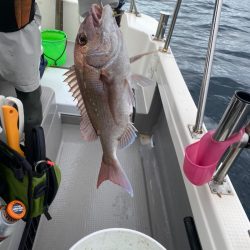 遊漁船ブルーウッズ 釣果