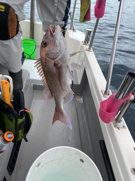 遊漁船ブルーウッズ 釣果
