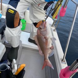 遊漁船ブルーウッズ 釣果