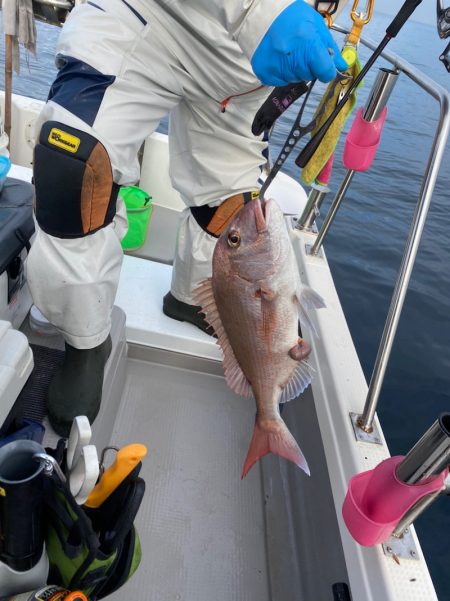 遊漁船ブルーウッズ 釣果