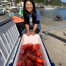 晃山丸 釣果
