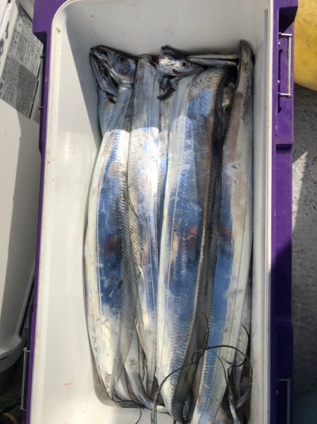 フィッシング　キッタカ 釣果