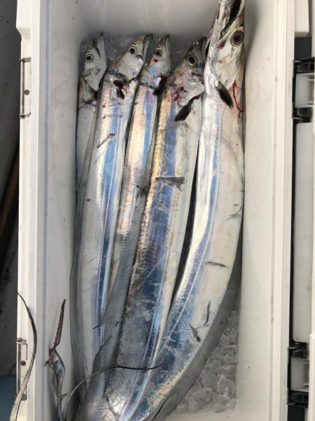 フィッシング　キッタカ 釣果