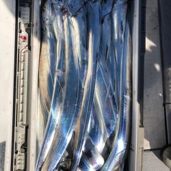 フィッシング　キッタカ 釣果