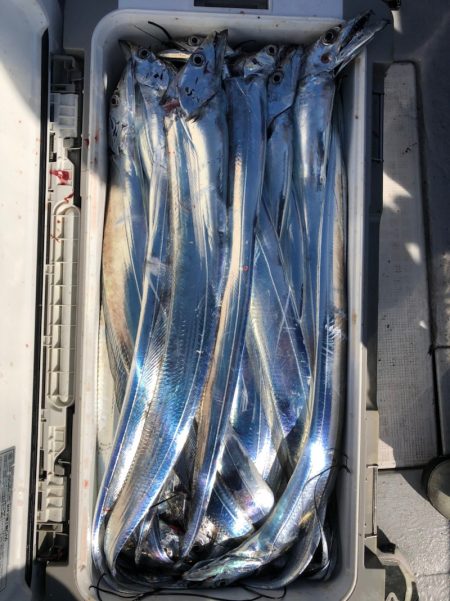 フィッシング　キッタカ 釣果