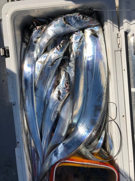 フィッシング　キッタカ 釣果