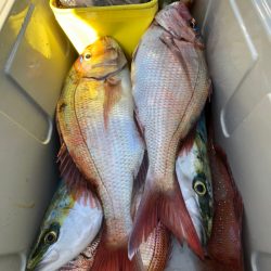 第二八坂丸 釣果